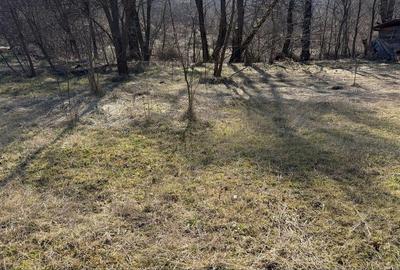 Spațiu comercial, în Câmpu Cetății - 5