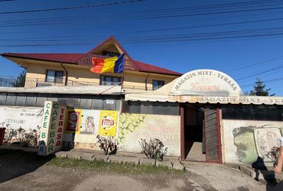 Casă individuală cu 16 camere cu Garaj în Spătaru - 1