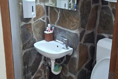 Apartament cu 2 camere semidecomandat în Botizului - 4