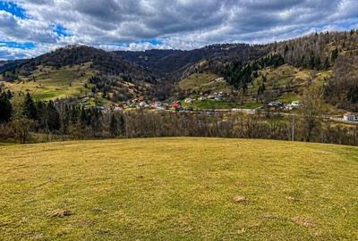 Teren de 6250 mp, în Vidra - 2