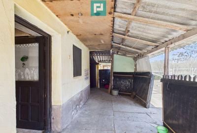 Casa cu 3 camere langa frontiera Turnu - 11