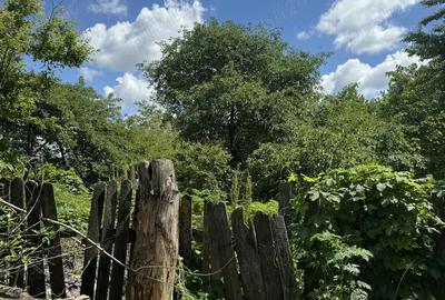 Casa de vanzare! - 1