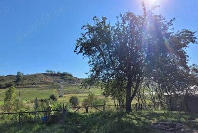 Teren ideal pentru casa individuala sau duplex - 3