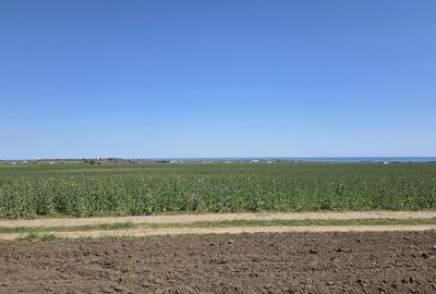 Teren agricol extravilan de 2000 mp, în Corbu - 1