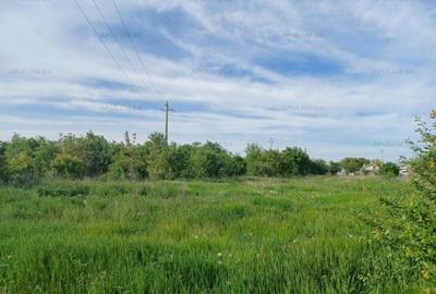 Teren 1400 mp, intravilan construibil, in Joi?a - 6