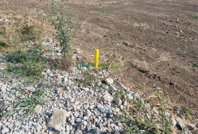 Teren de 540 mp, în Frumușani - 4