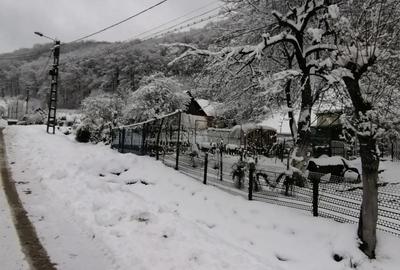 Vand casa in Anina propietar - 4