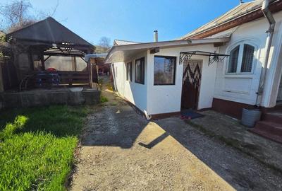 Casă cu 3 camere cu Teren 2000 Mp în Deleni - 9