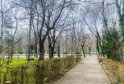 Apartament cu 2 camere semidecomandat în Medicină - 1