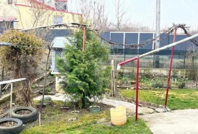 Casă cu 4 camere cu Teren 4600 Mp în Central - 4