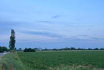 Teren de 7500 mp, în Albești-Paleologu