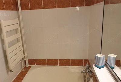 Apartament cu o camera situat in zona UMT de inchiriat Apartament cu o camera situat in zona UMT de inchiriat - 2