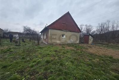 Casă cu 2 camere cu Teren 2685 Mp în Tăut - 13