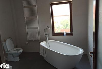 Casă cu 4 camere cu Teren 250 Mp în Unirii - 10