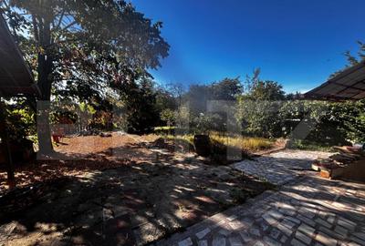 Casă cu 5 camere cu Teren 1320 Mp în Debarcader - 7