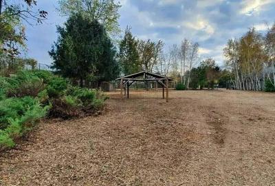 Casă cu 6 camere cu Teren 4700 Mp în Gruiu - 2