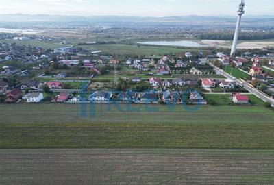 Teren de 5000 mp, în Bogdan Vodă - 3