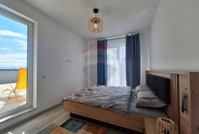 Apartament cu 2 camere, mobilat în Turnișor - 12