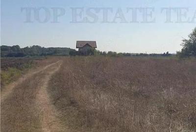 Teren intravilan 511mp in Corbeanca - 3