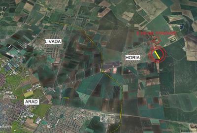 Teren neproductiv - 5 ha Horia, com. Vladimirescu - 3