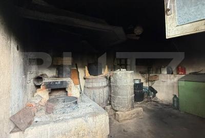 Casa batraneasca, renovabila, Comuna Danesti, Sat Vacarea, 2570 mp, front 25 ml - 5