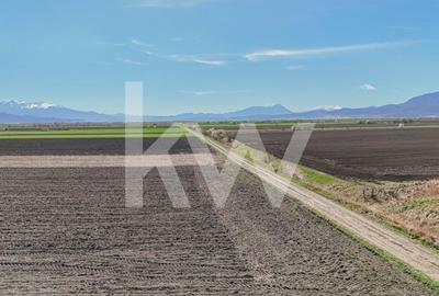 Vanzare teren extravilan agricol Halchiu 15000mp - 9