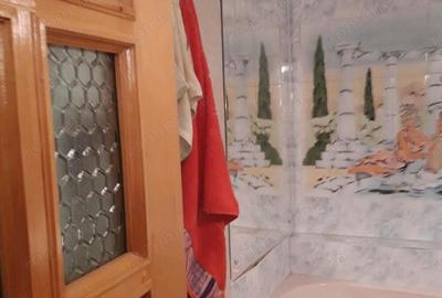 Vanzare 2 camere lipovei - 2