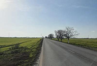 Teren de 25000 mp, în Agigea