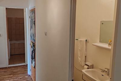 Apartament cu 3 camere decomandat în Camil Ressu - 17