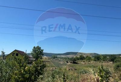 Vand Teren Dej / Strada Dumbrava Rosie - 2