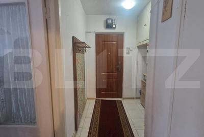 Apartament cu 2 camere, etaj intermediar, luminos, circular vedere superba Noua - 3