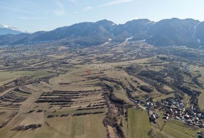 Teren Construcții intravilan de 4043 mp, în Predeluț - 40