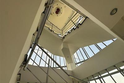 Birou, de 607 mp, în Mărășești - 8