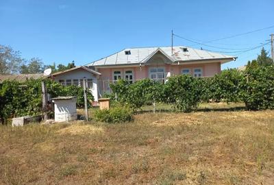 Vand casa in Grivi?a Vand casa in Grivi?a - 2