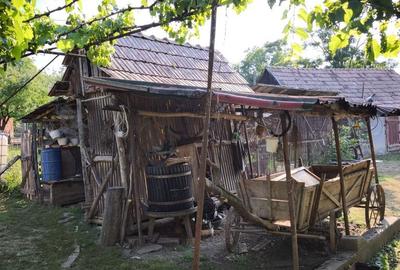 Casă cu 5 camere cu Teren 4000 Mp în Central - 9
