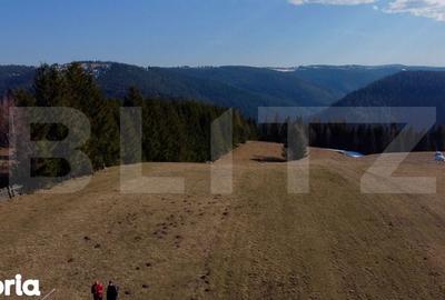 Teren de 10909 mp, în Râșca - 12