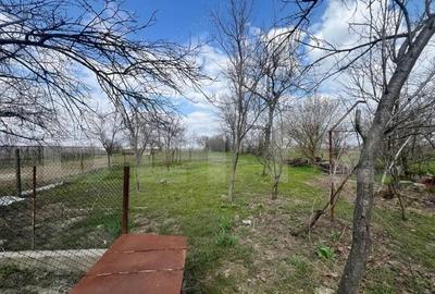 Casă cu 4 camere cu Teren 2000 Mp în Rovine - 13