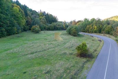 Parcele de teren de 1000 mp în Râșnov, str. Glăjărie Râul Mare - 8