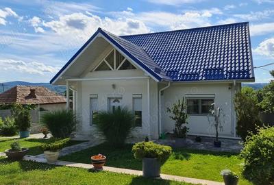 Vila cu piscina de vanzare in Curtea de Arge?. - 3