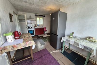 Casa batraneasca+anexa+garaj+961.07 mp teren intravilan Otopeni - 19