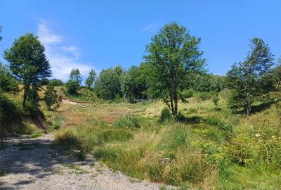 Teren Intravilan in zona Trei Ape, 6889 Mp., 14,5 Euro/Mp., - 12