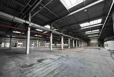 Spațiu industrial, de 20,702 mp, în Timișoara - 8