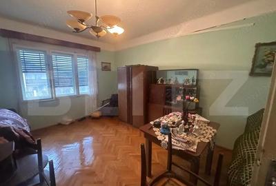 Casă cu 4 camere cu Teren 6197 Mp în Viile Satu Mare - 8