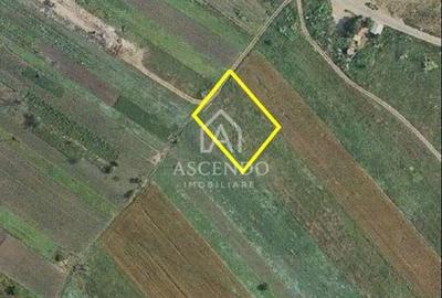 Teren Intravilan 3.000 mp Jilava  Investiție sau Rezidențial Teren Intravilan 3.000 mp Jilava  Investiție sau Rezidențial - 2