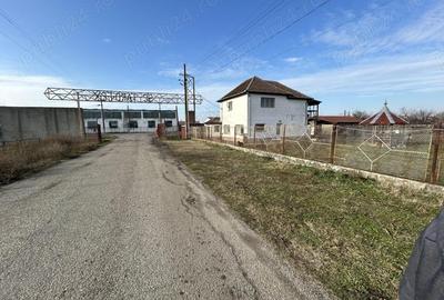 Spațiu comercial, de 7,000 mp, în Central - 15