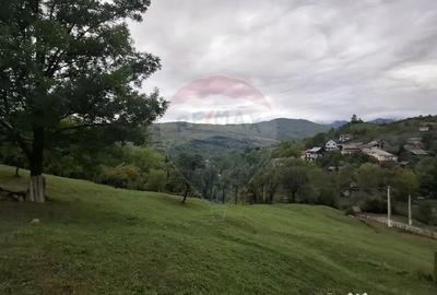 Teren de 4000 mp, în Moroeni - 11