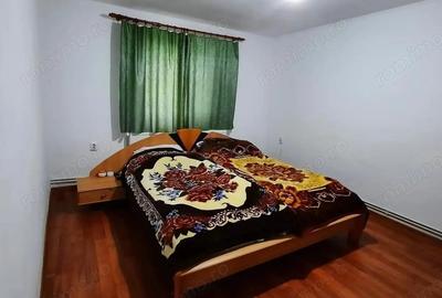 Casă cu 2 camere cu Teren 811 Mp în Satulung - 1