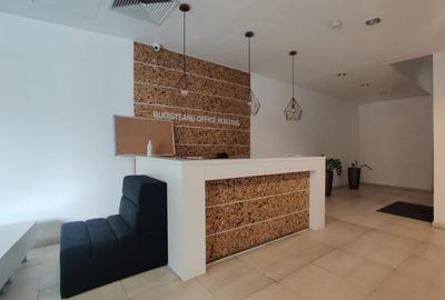 Spatiu de birouri pentru inchiriat in Budisteanu Office Building-Calea Victoriei - 3