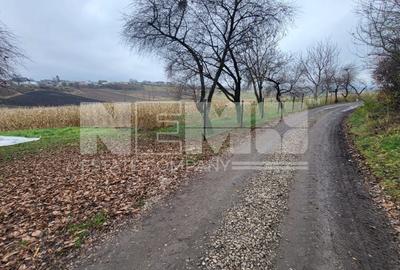 Teren agricol extravilan de 2000 mp, în Moara - 5