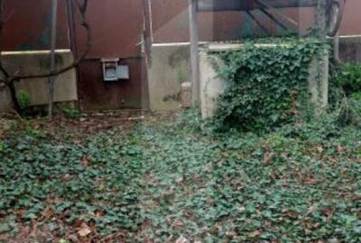 Blitz va ofera spre vanzare o casa cu teren generos in Cer - 3